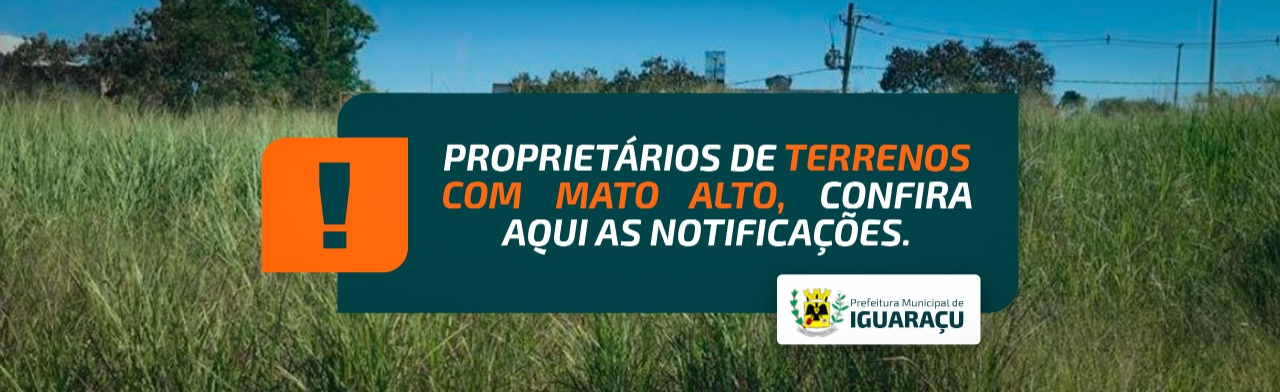 Slide 9